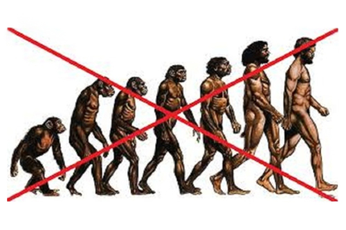 Charles Darwin a jeho evoluční teorie